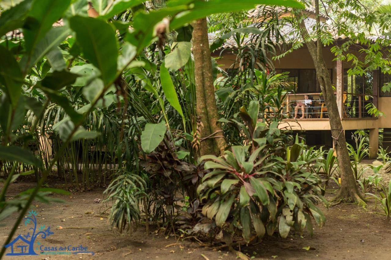 Casa Koda Beach Front Cocles Exterior photo